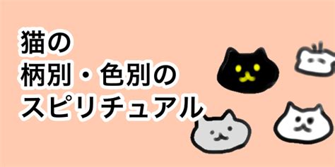 白い猫が横切る時のジンクスって？恋愛や金運に良い。